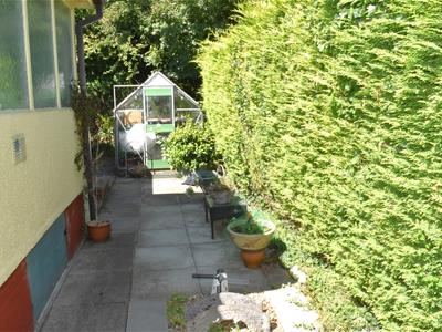 Picture 13